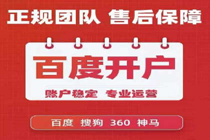 SEM推广实战：案例解析与策略探讨